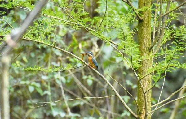 万“物”复苏春“萌”动