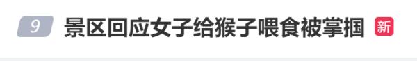给猴子喂食反被扇一巴掌！目击者：人都被打懵了…景区回应