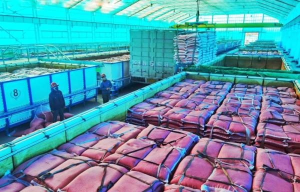 北大荒牡丹江分公司四体联动奏响备耕交响曲