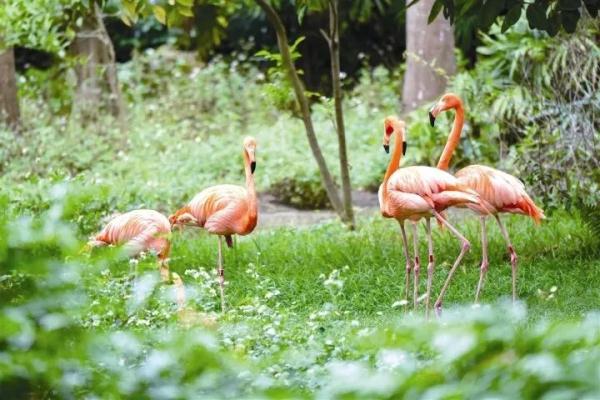 万“物”复苏春“萌”动