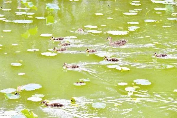 万“物”复苏春“萌”动