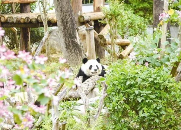 万“物”复苏春“萌”动