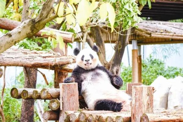 万“物”复苏春“萌”动