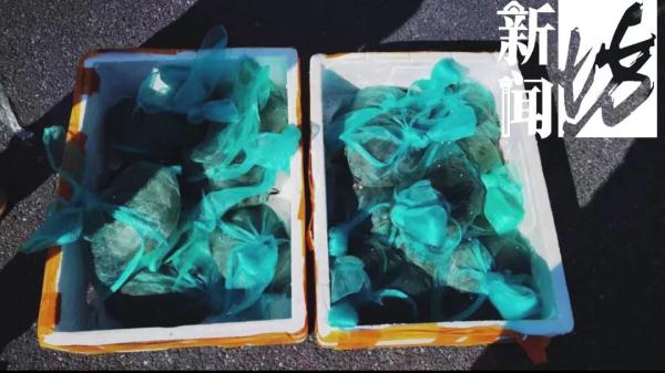 紧急提醒！这种“亲戚”送的礼不能要 已多人遇到