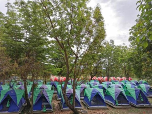 于3月20,21日委托旅行社在旗山区一处露营区举办5年级学生露营活动