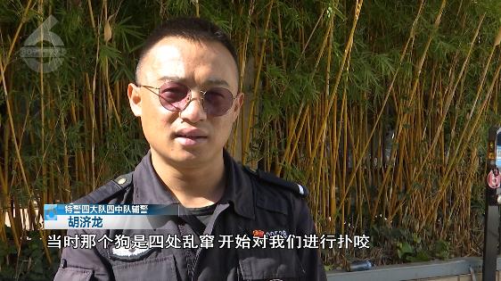 被自家狗狂叫乱咬吓到,李女士选择了报警 被自家狗狂叫乱咬吓到,李女士选择了报警