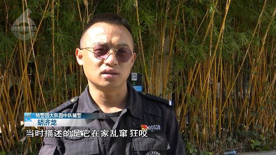 被自家狗狂叫乱咬吓到,李女士选择了报警 被自家狗狂叫乱咬吓到,李女士选择了报警