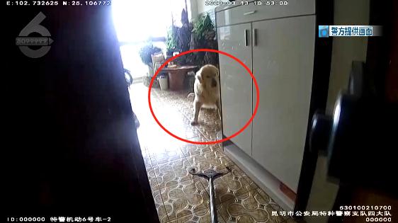 被自家狗狂叫乱咬吓到,李女士选择了报警 被自家狗狂叫乱咬吓到,李女士选择了报警