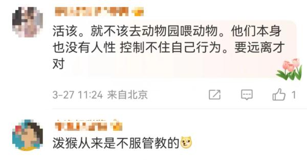 给猴子喂食反被扇一巴掌！目击者：人都被打懵了…景区回应