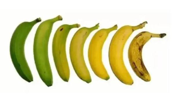 多吃香蕉能通便?女子为治便秘1天吃3根香蕉,结果被送进医院 多吃香蕉能通便?女子为治便秘1天吃3根香蕉,结果被送进医院