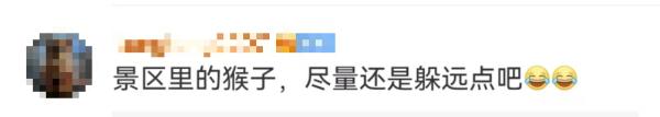 给猴子喂食反被扇一巴掌！目击者：人都被打懵了…景区回应