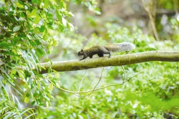 万“物”复苏春“萌”动