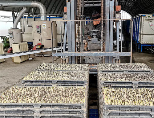 北大荒牡丹江分公司四体联动奏响备耕交响曲