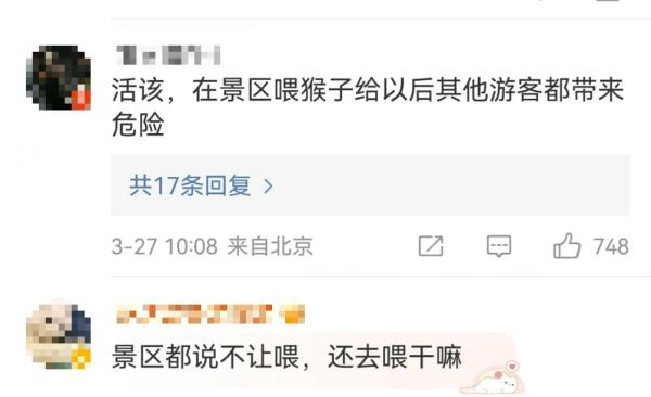 给猴子喂食反被扇一巴掌！目击者：人都被打懵了…景区回应