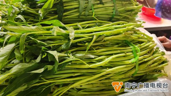 冲上热搜！广西人吃“ong菜”的季节即将开启，今年的市场售价如何？