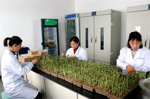 北大荒牡丹江分公司四体联动奏响备耕交响曲