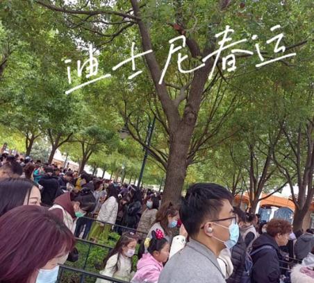全上海都在出游？人头比花瓣多，到处有挨骂的男人…"2小时高铁圈"成新热门!
