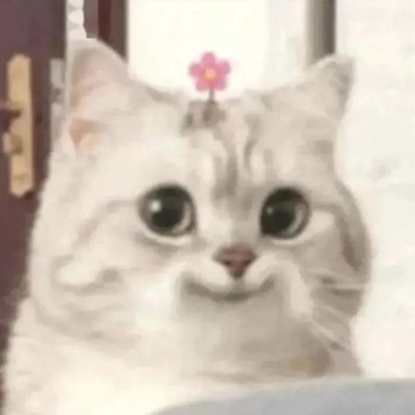 25℃！山东气温持续回升！昼夜温差仍大，这些地区有霜冻！两波降雨已上路……