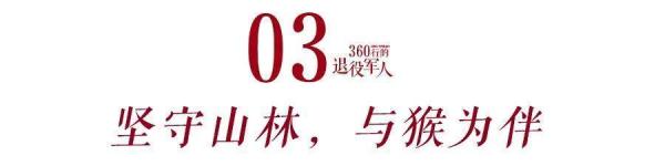 历时十八年，他和“泼猴”交上了朋友！