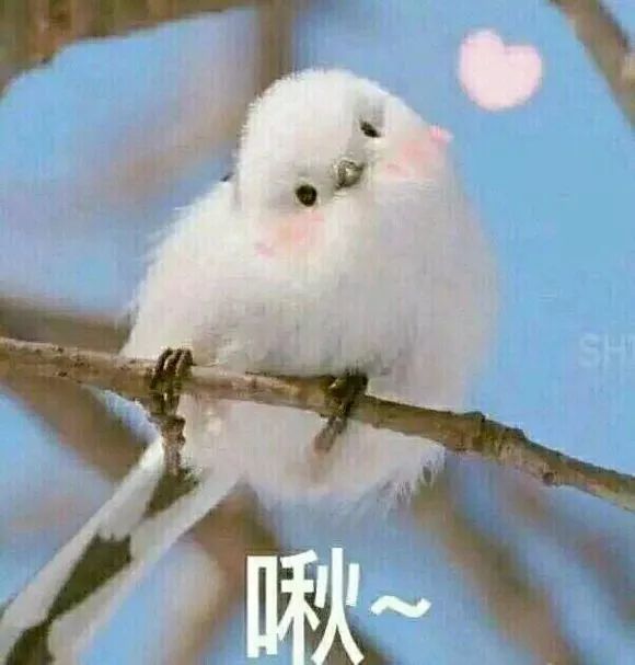 25℃！山东气温持续回升！昼夜温差仍大，这些地区有霜冻！两波降雨已上路……