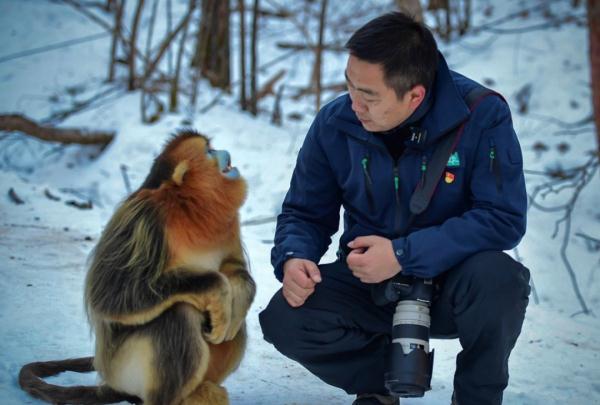 历时十八年，他和“泼猴”交上了朋友！