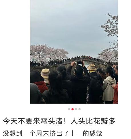 全上海都在出游？人头比花瓣多，到处有挨骂的男人…"2小时高铁圈"成新热门!