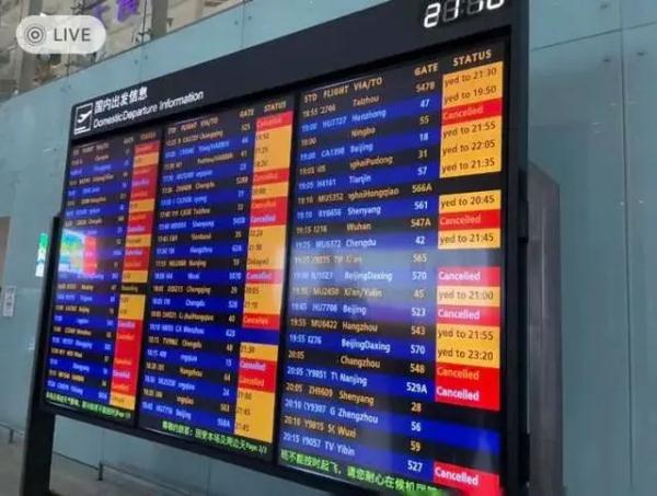 暴雨致航班取消，乘客下跪求起飞？