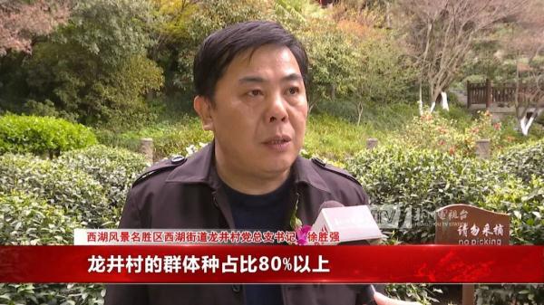 杭州这里的“老祖宗”开采，曾卖到7.28万一两！