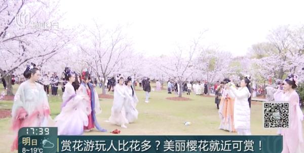 全上海都在出游？人头比花瓣多，到处有挨骂的男人…"2小时高铁圈"成新热门!
