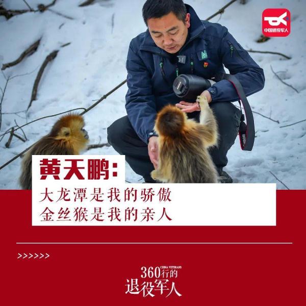 历时十八年，他和“泼猴”交上了朋友！