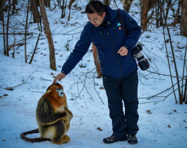 历时十八年，他和“泼猴”交上了朋友！