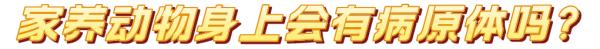 【健康资讯】紧急提醒！已有人住院！一种人畜共患病来袭......