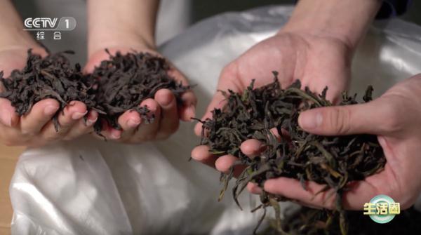 【养生】枸杞加它，这2种养生效果倍增哦~