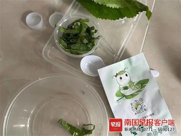 南宁不少小学生在做同件事!家长操碎了心,都在找这东西 南宁不少小学生在做同件事!家长操碎了心,都在找这东西
