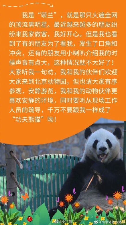 北京动物园提醒有序参观萌兰