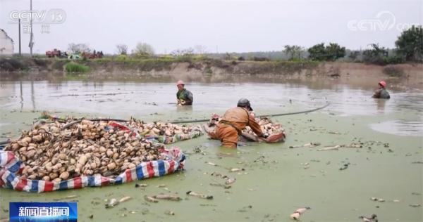 鄱阳湖见证“人鸟相争”到“人鸟共生” 鄱阳湖见证“人鸟相争”到“人鸟共生”