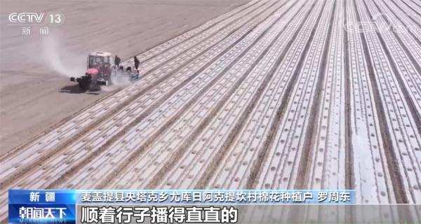 新疆麦盖提60万亩棉花开播 机械化助力抢墒播种