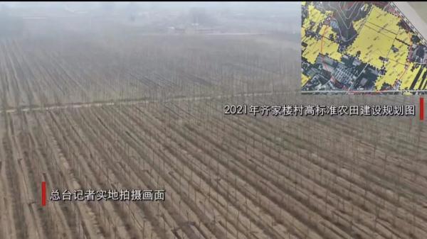 高标准农田建设涉嫌造假，当地最新回应→