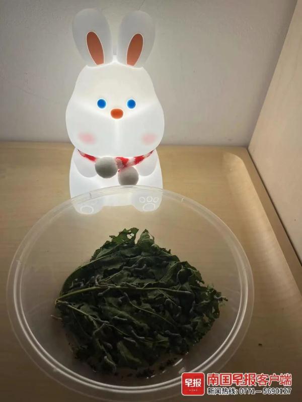 南宁不少小学生在做同件事!家长操碎了心,都在找这东西 南宁不少小学生在做同件事!家长操碎了心,都在找这东西