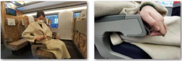 “免费坐高铁”冲上热搜第一！12306最新回应→