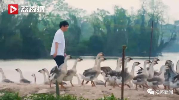 “鹅mazing!”这群大学生用“鹅脸识别技术”养鹅,有意思! “鹅mazing!”这群大学生用“鹅脸识别技术”养鹅,有意思!