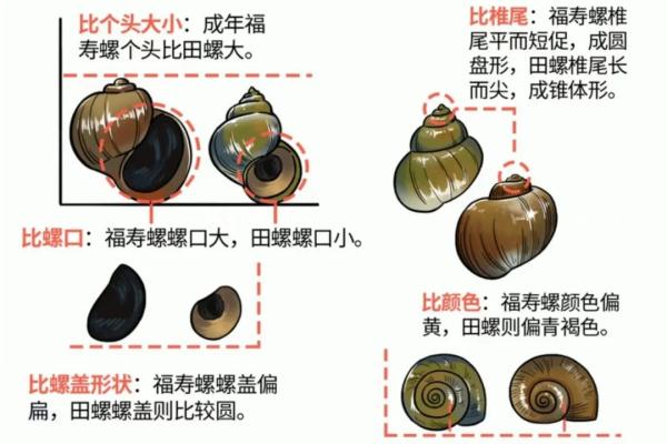 时下最火！浙江很多人爱的这道美味，千万别吃错...