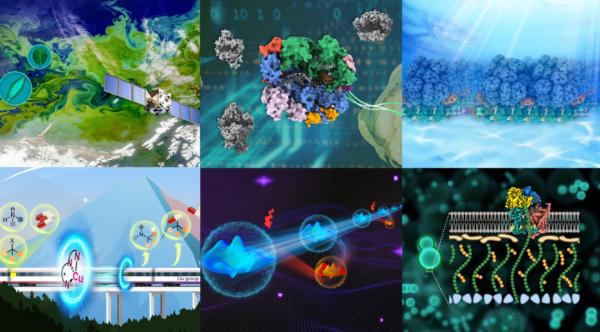 厉害!他们1个月连发6篇Nature、Science 厉害!他们1个月连发6篇Nature、Science