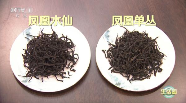 【养生】解春困、消疲劳？秘密都在这杯茶里！