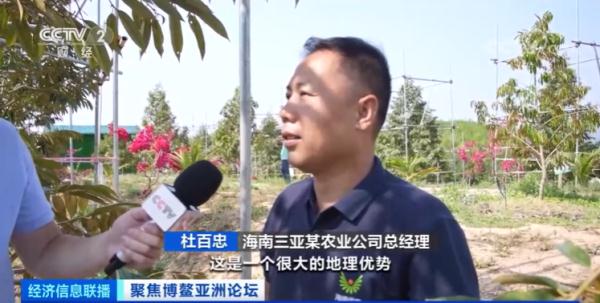 一整个大期待！国产榴莲将大规模上市