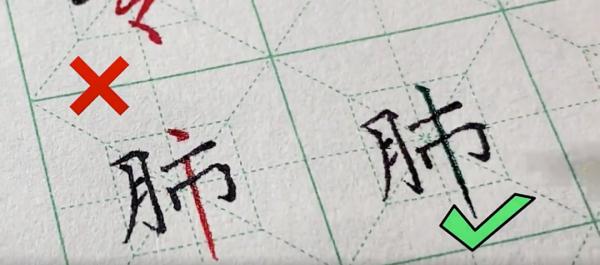 这些字，有人可能从小就写错了！