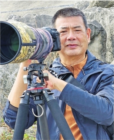 获救的长江江豚“209”又要当妈妈了