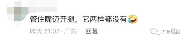 趵突泉“猪锂”胖上热搜！网友：原来游泳真的不减肥……