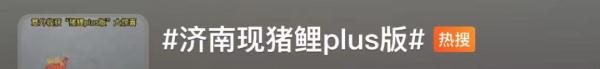 趵突泉“猪锂”胖上热搜！网友：原来游泳真的不减肥……