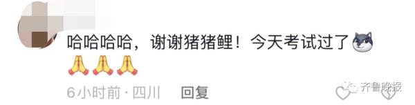 趵突泉“猪锂”胖上热搜！网友：原来游泳真的不减肥……